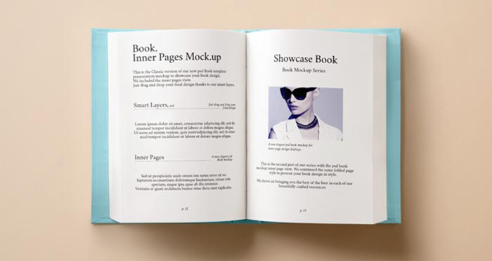 Download 80 Best Free Book Mockups For Graphic Designers Stockindesign Yellowimages Mockups